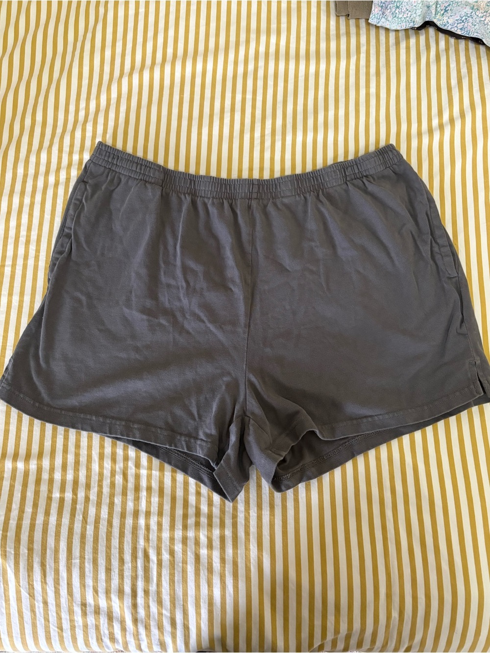 Wild Fable Shorts